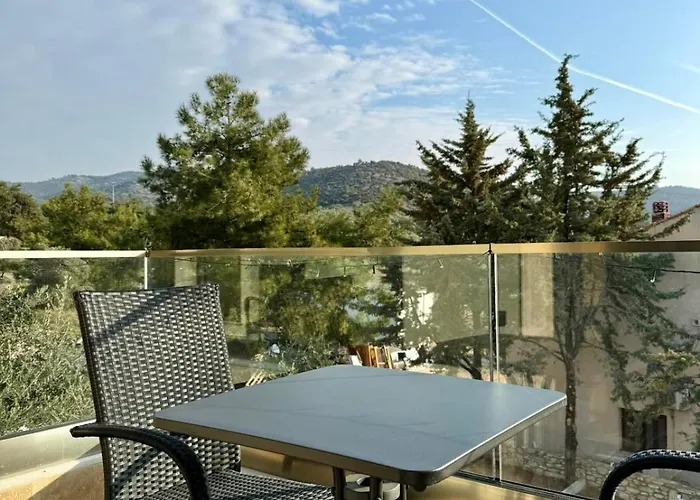 Olea ポトス